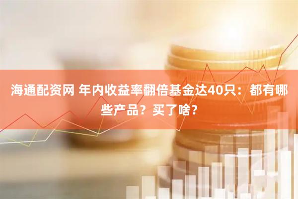 海通配资网 年内收益率翻倍基金达40只：都有哪些产品？买了啥？