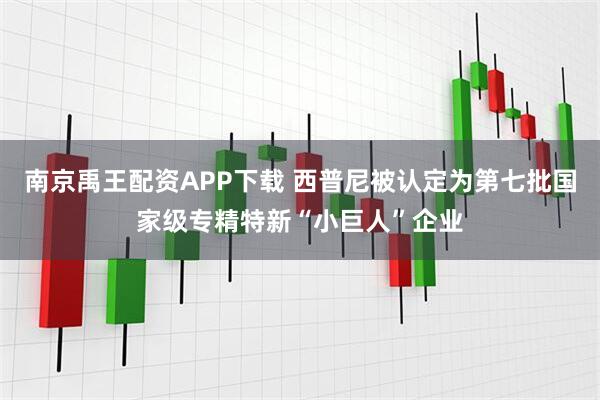 南京禹王配资APP下载 西普尼被认定为第七批国家级专精特新“小巨人”企业